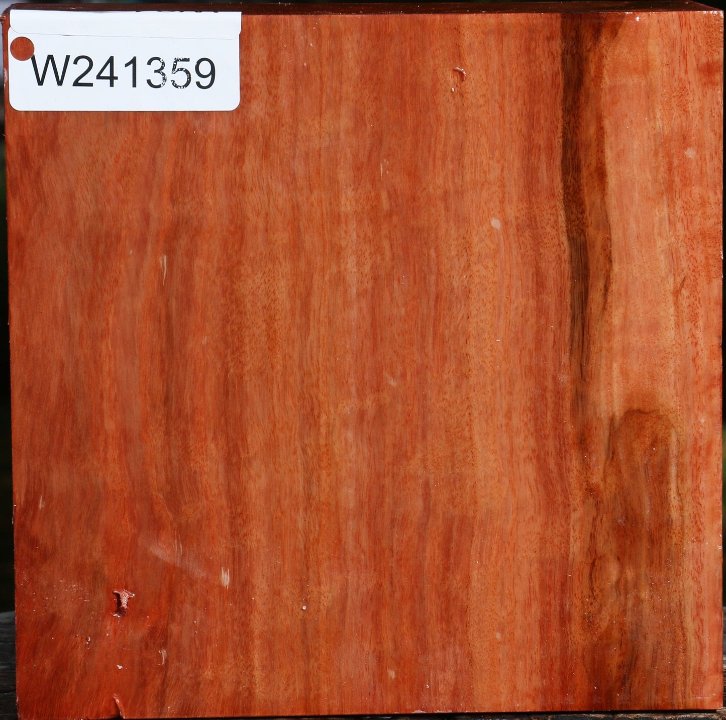 Red Ironbark Bowl Blank