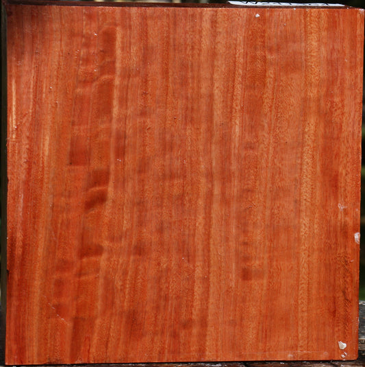 Figured Red Ironbark Bowl Blank