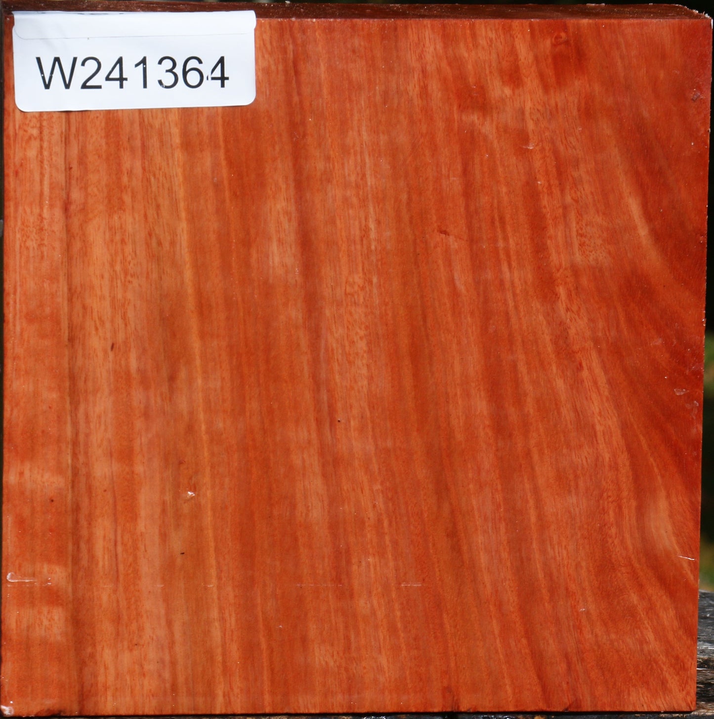 Figured Red Ironbark Bowl Blank