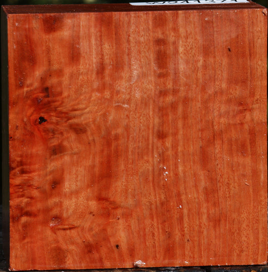 Red Ironbark Bowl Blank