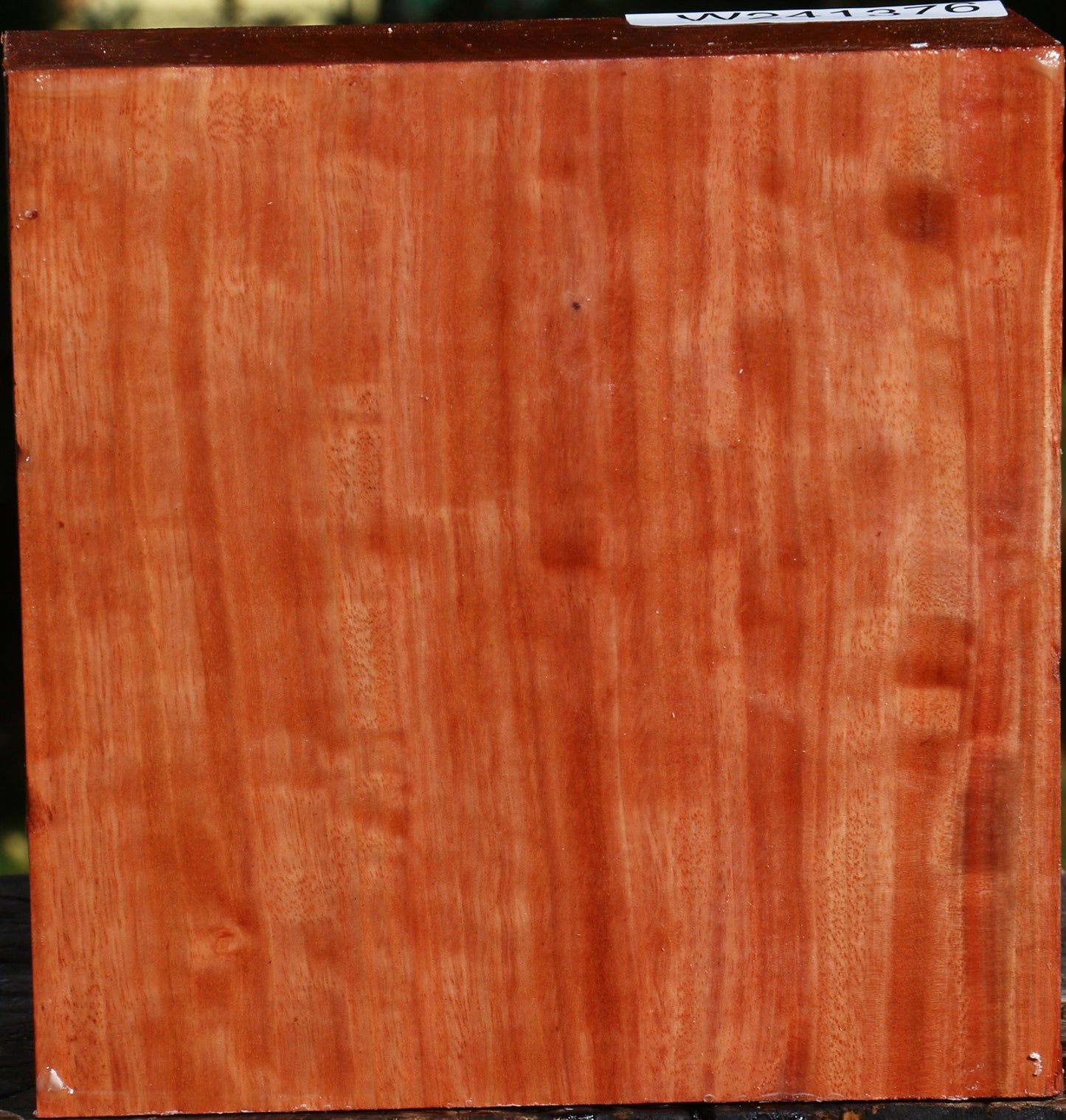 Figured Red Ironbark Bowl Blank