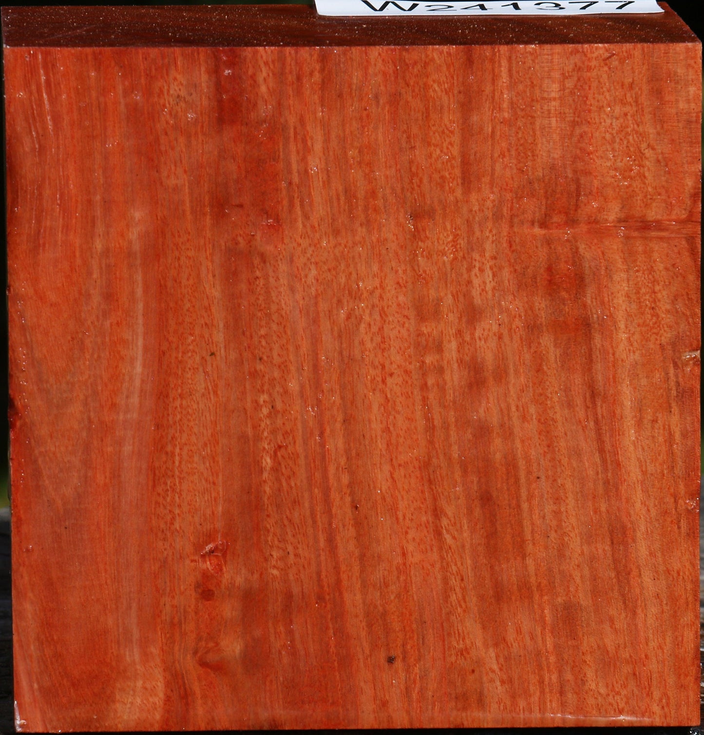 Red Ironbark Bowl Blank