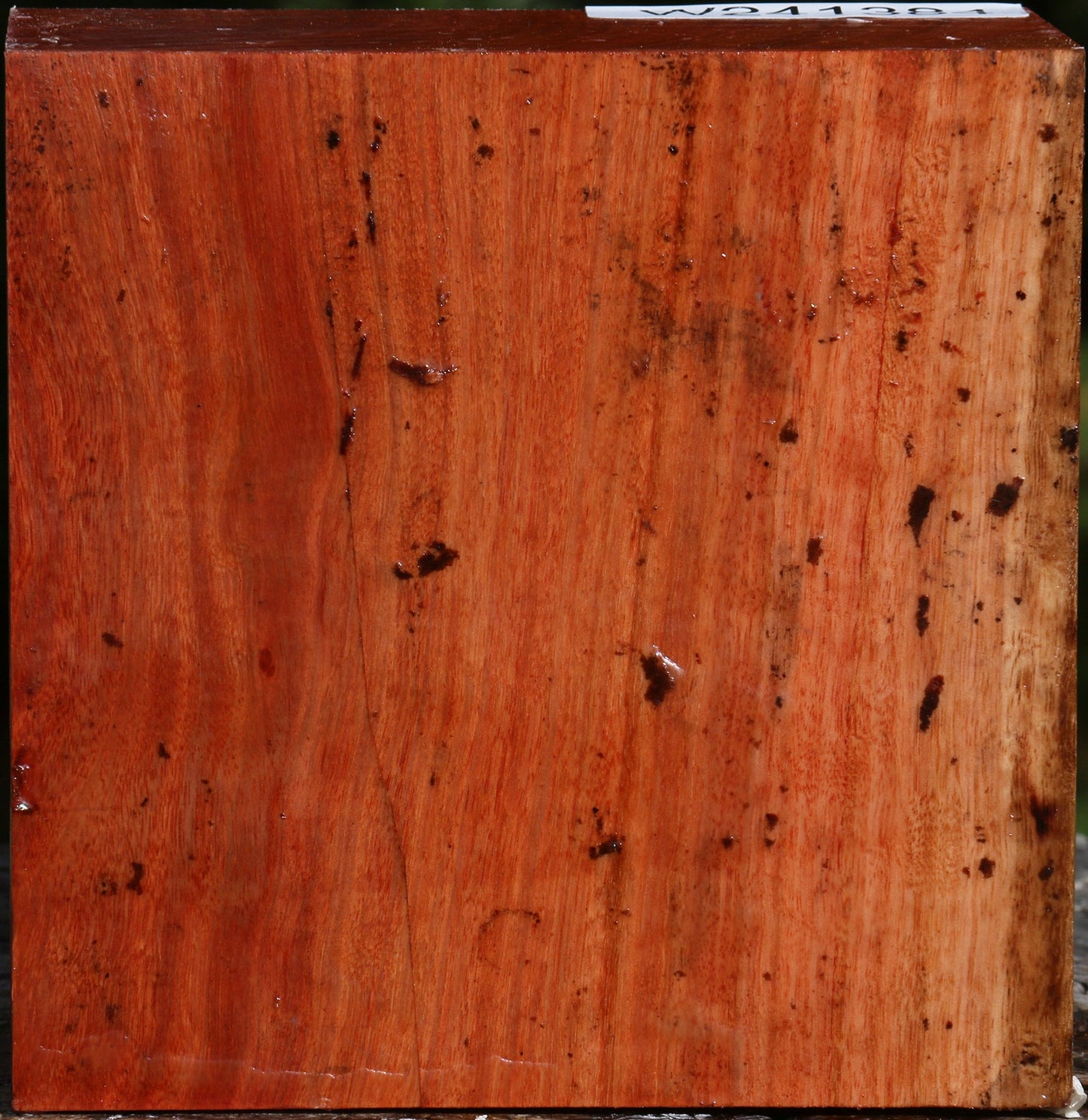 Figured Red Ironbark Bowl Blank