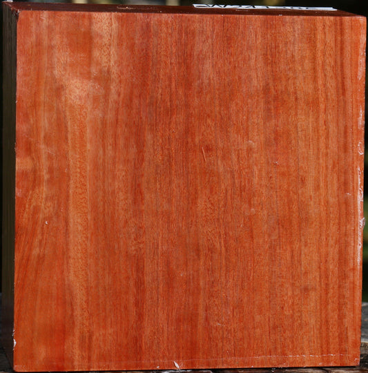 Red Ironbark Bowl Blank