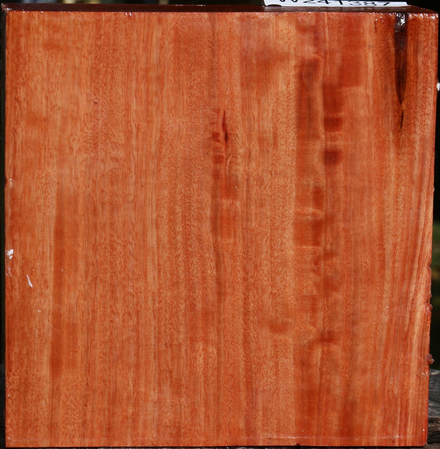 Figured Red Ironbark Bowl Blank