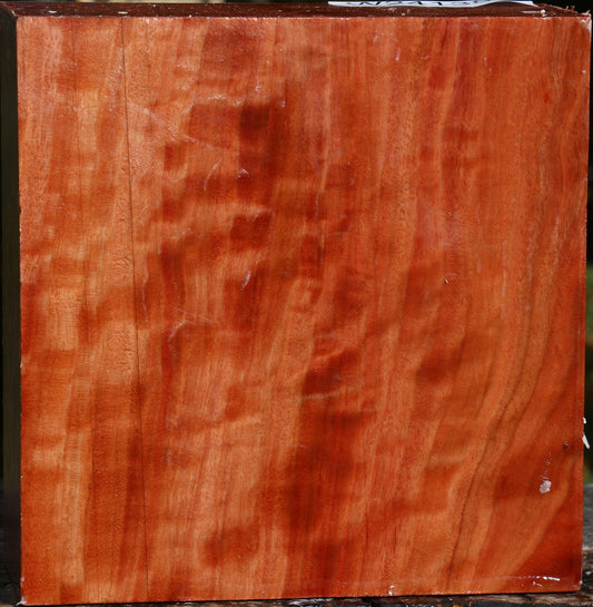 Extra Fancy Red Ironbark Bowl Blank