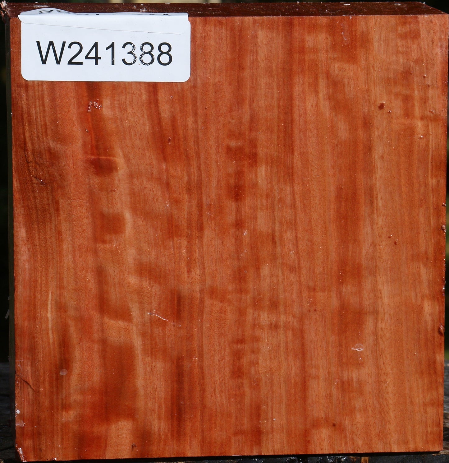 Extra Fancy Red Ironbark Bowl Blank