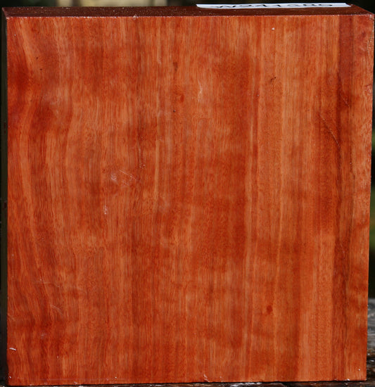 Figured Red Ironbark Bowl Blank