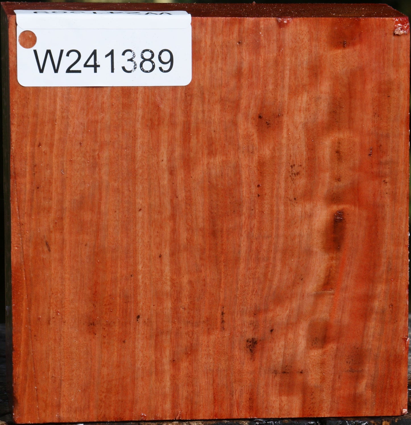 Figured Red Ironbark Bowl Blank