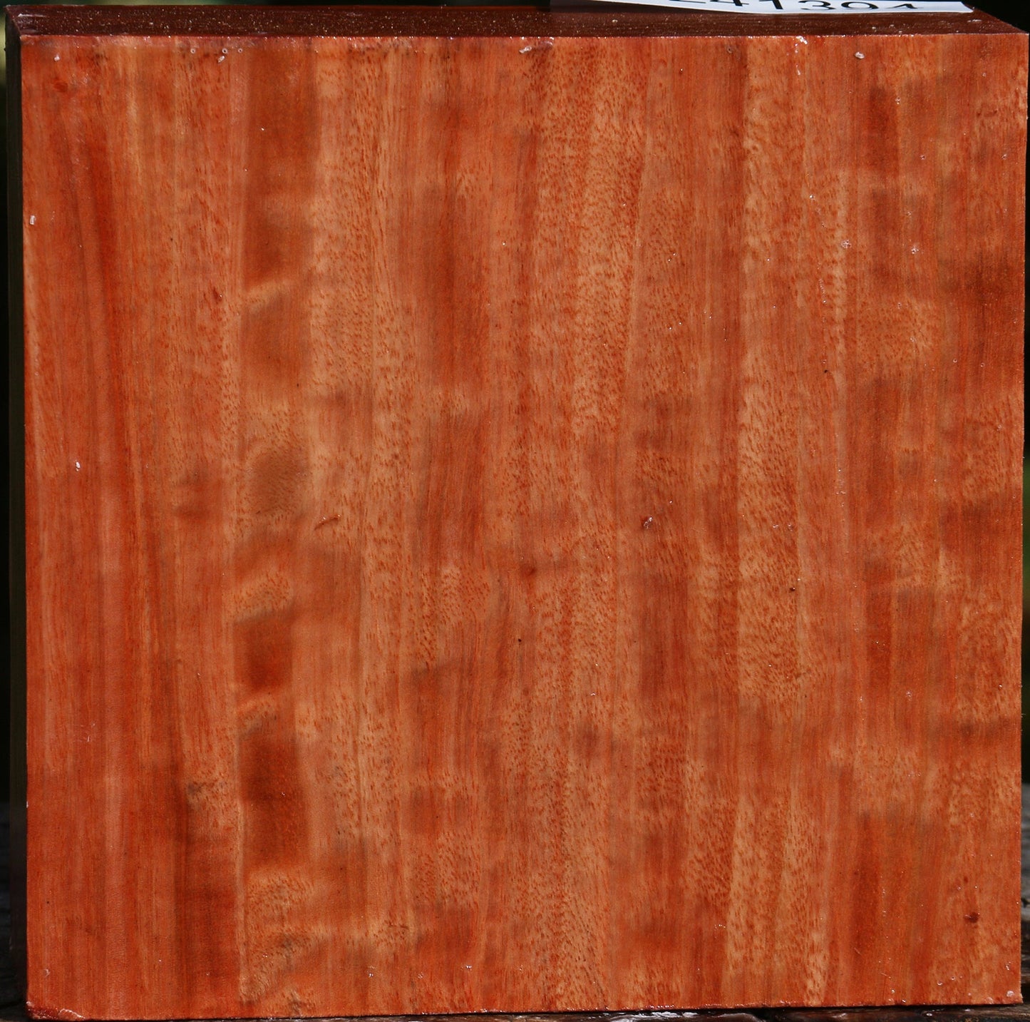 Figured Red Ironbark Bowl Blank