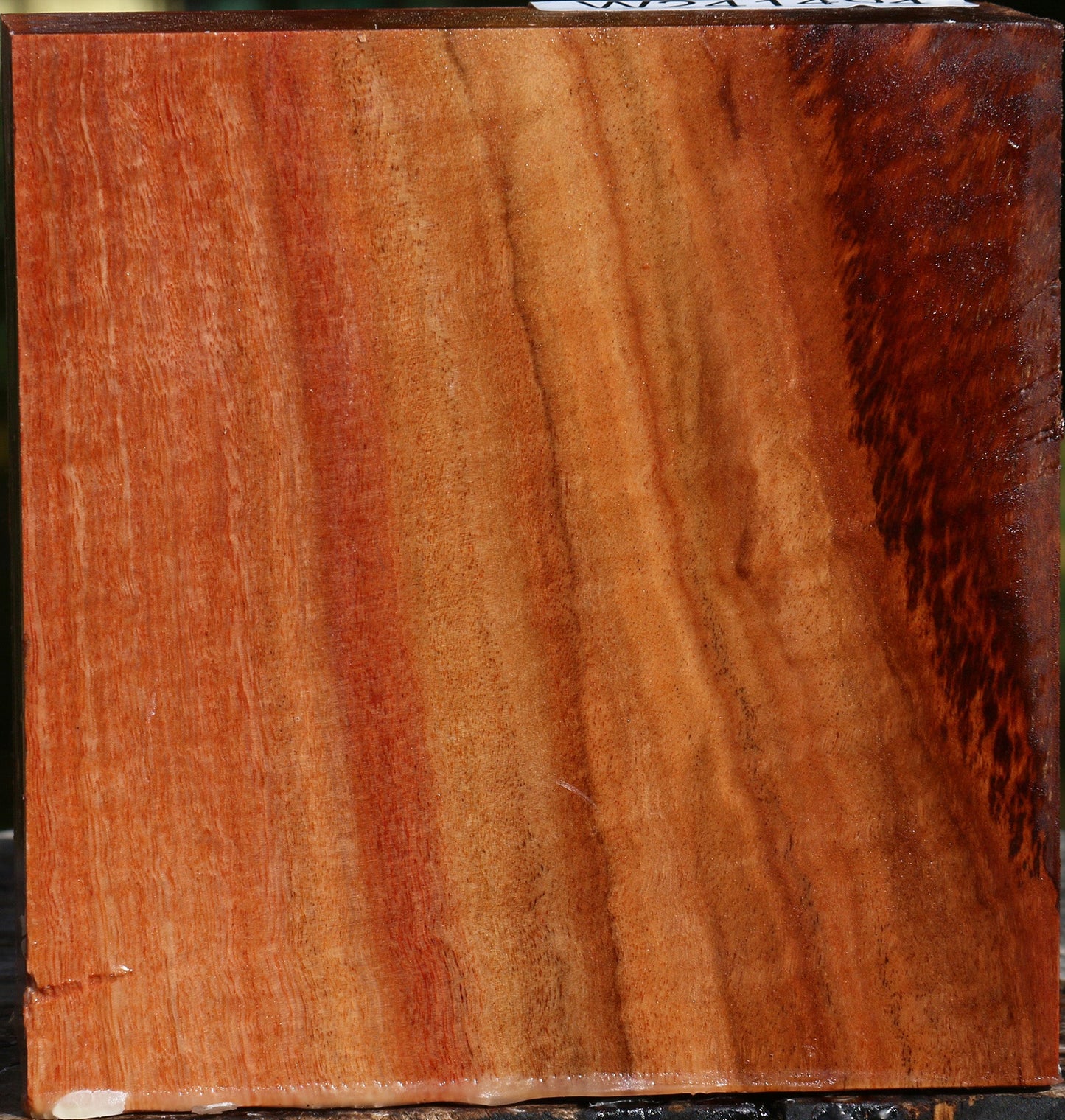 Extra Fancy Red Ironbark Bowl Blank