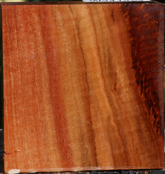 Extra Fancy Red Ironbark Bowl Blank