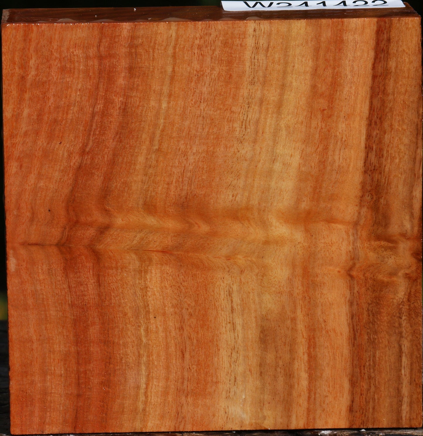 Figured Red Ironbark Bowl Blank