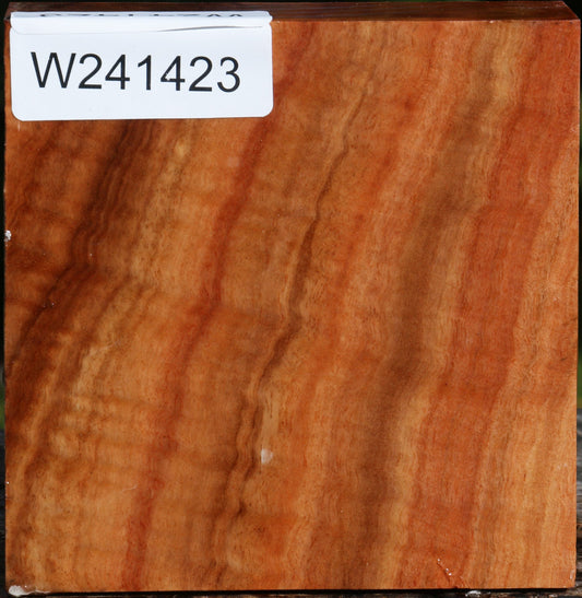 Extra Fancy Red Ironbark Bowl Blank