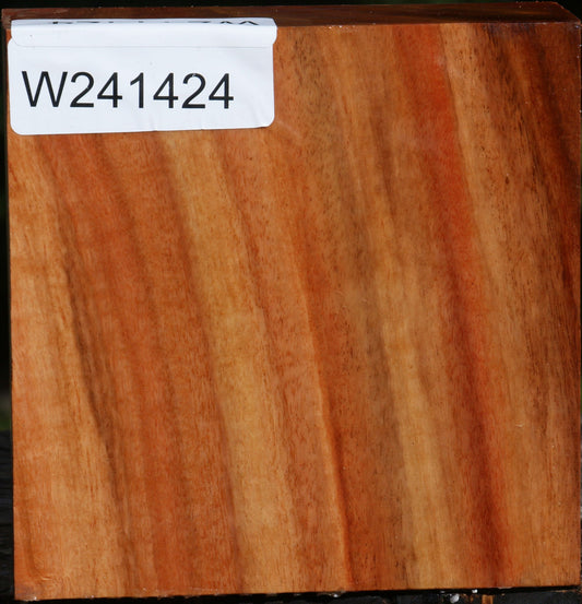 Red Ironbark Bowl Blank