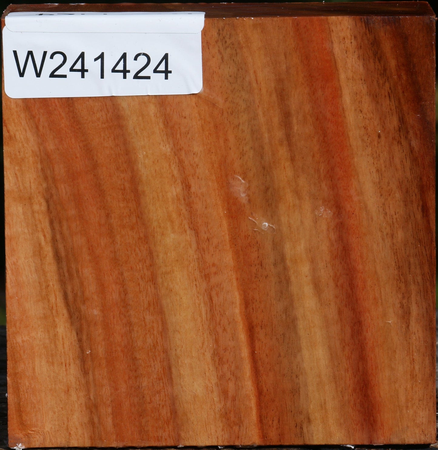 Red Ironbark Bowl Blank