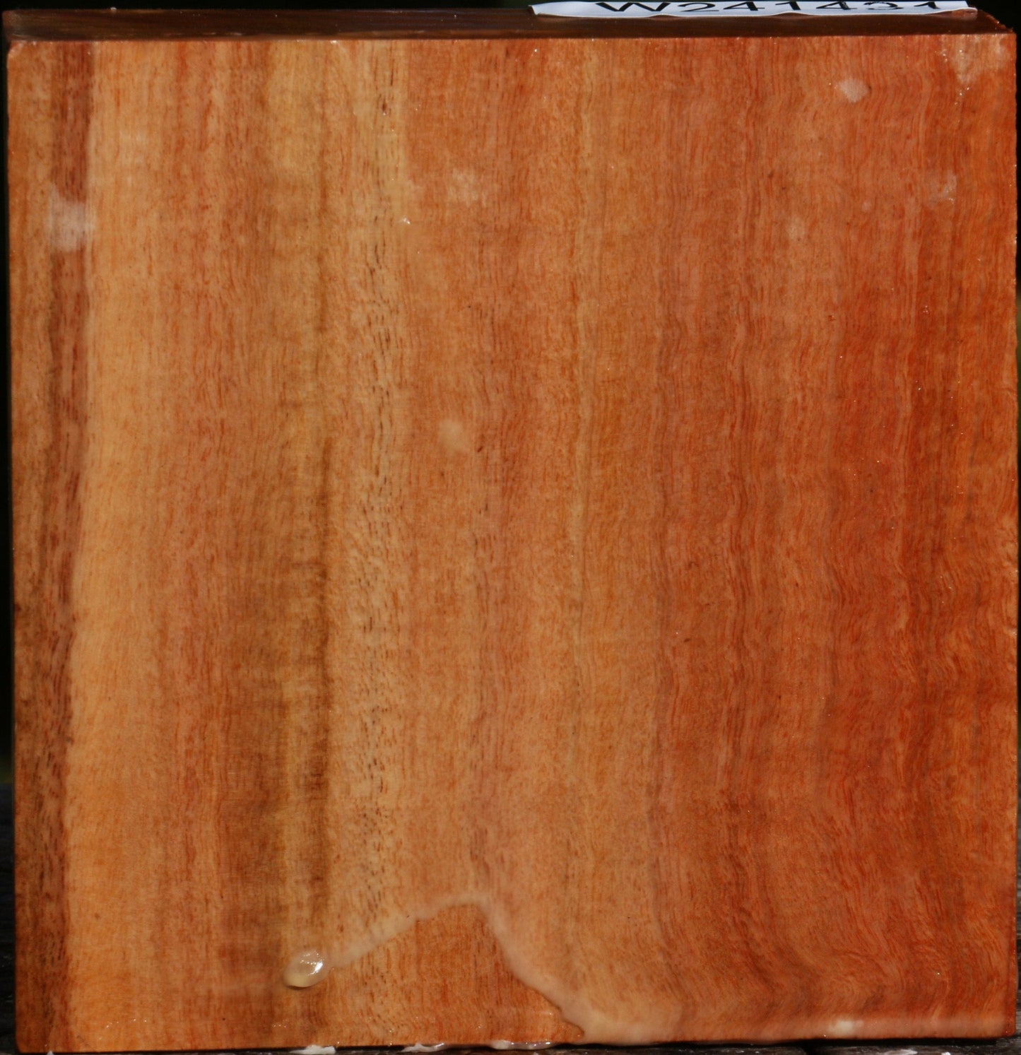 Red Ironbark Bowl Blank