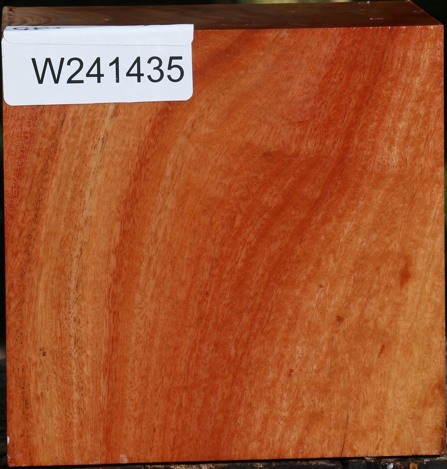 Red Ironbark Bowl Blank