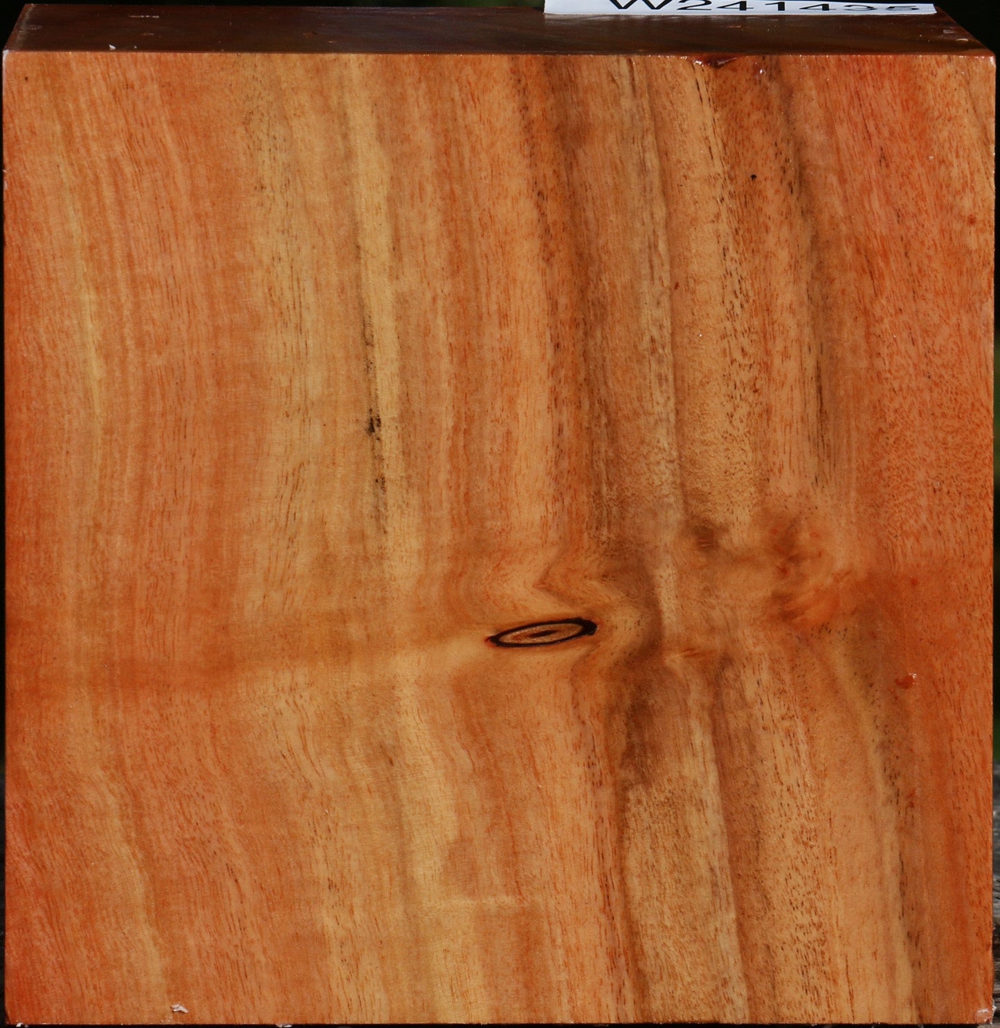 Red Ironbark Bowl Blank