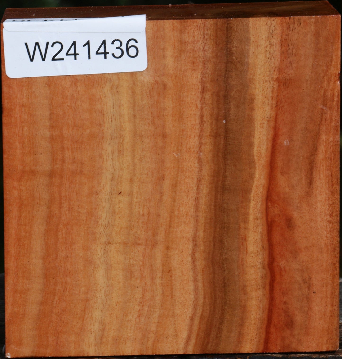 Red Ironbark Bowl Blank