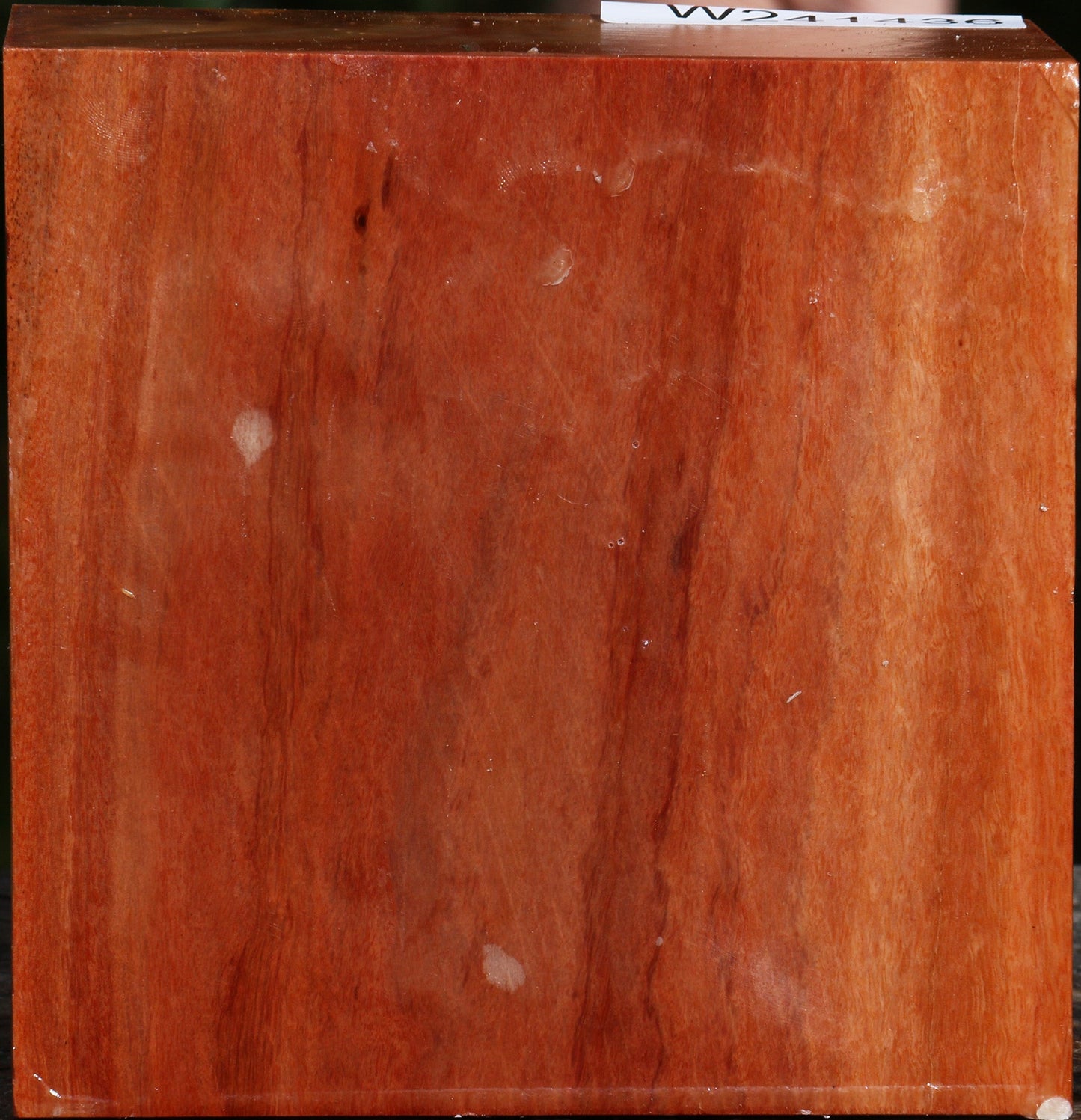 Red Ironbark Bowl Blank