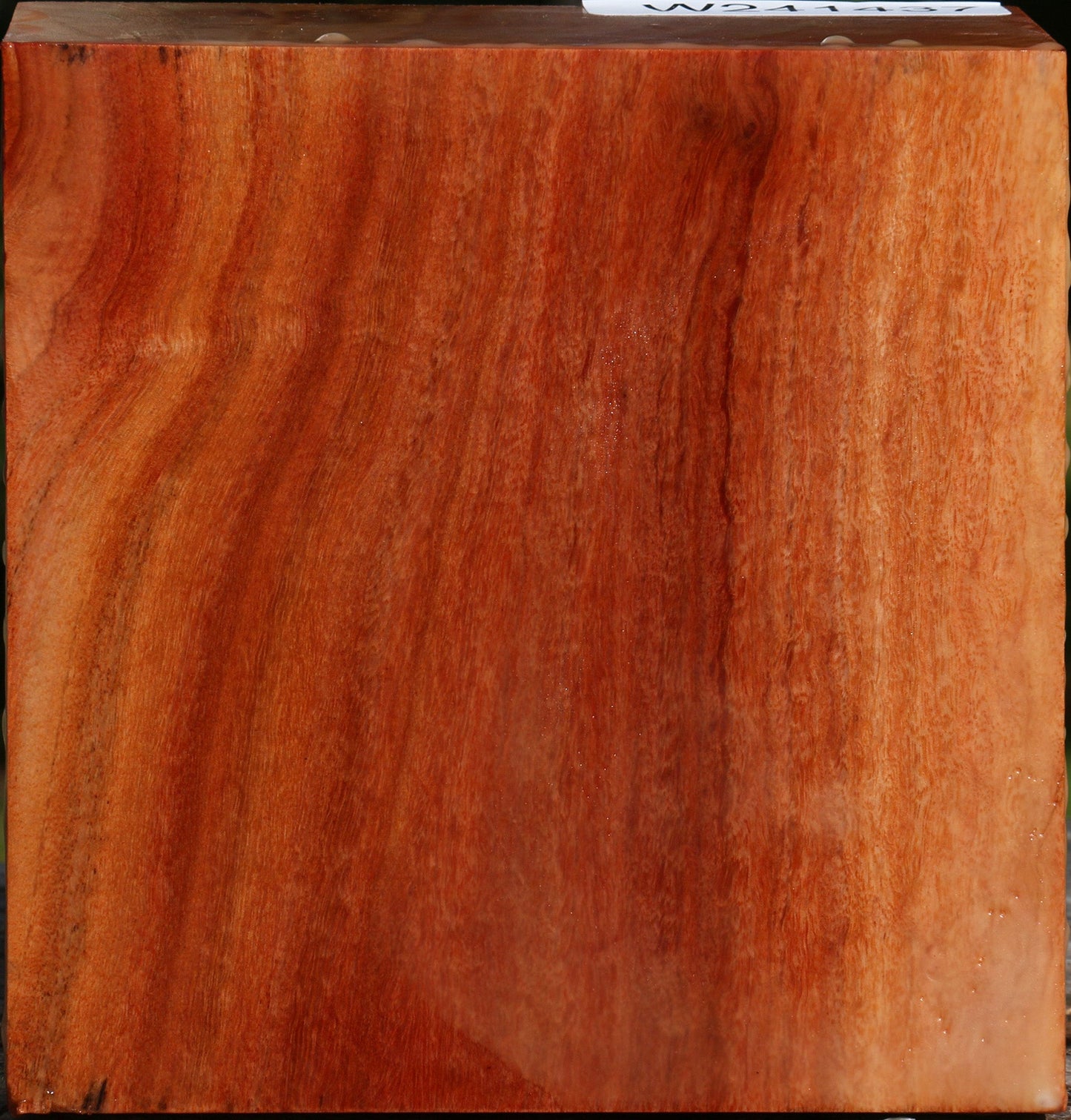 Red Ironbark Bowl Blank