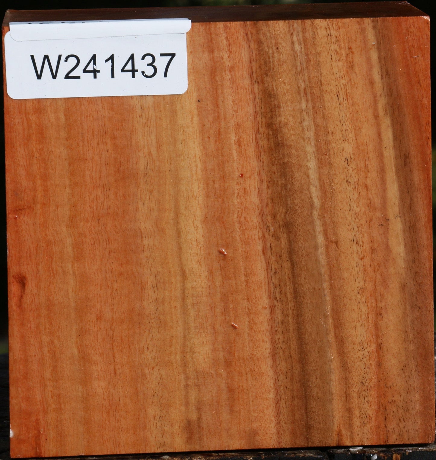 Red Ironbark Bowl Blank