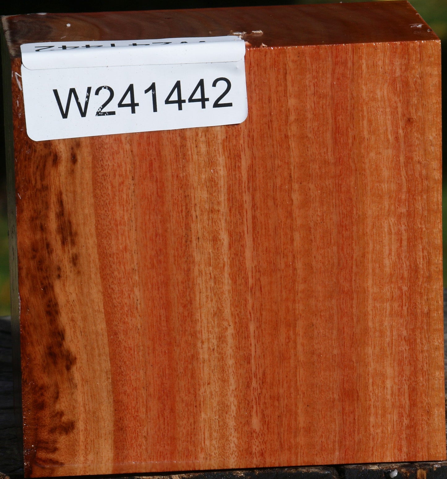 Red Ironbark Bowl Blank