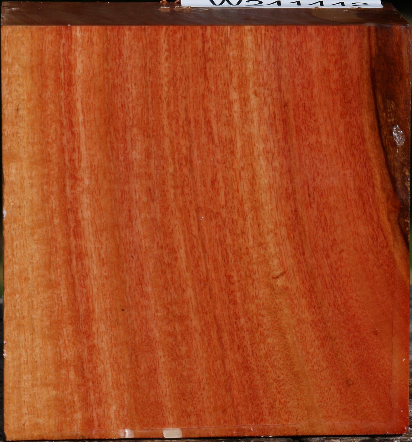 Red Ironbark Bowl Blank