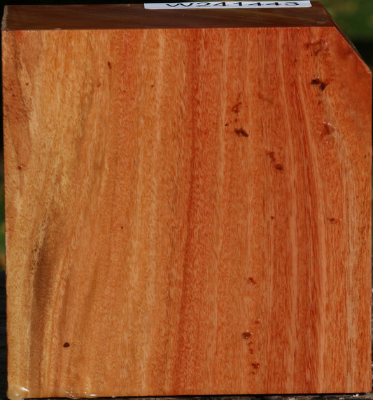 Red Ironbark Bowl Blank