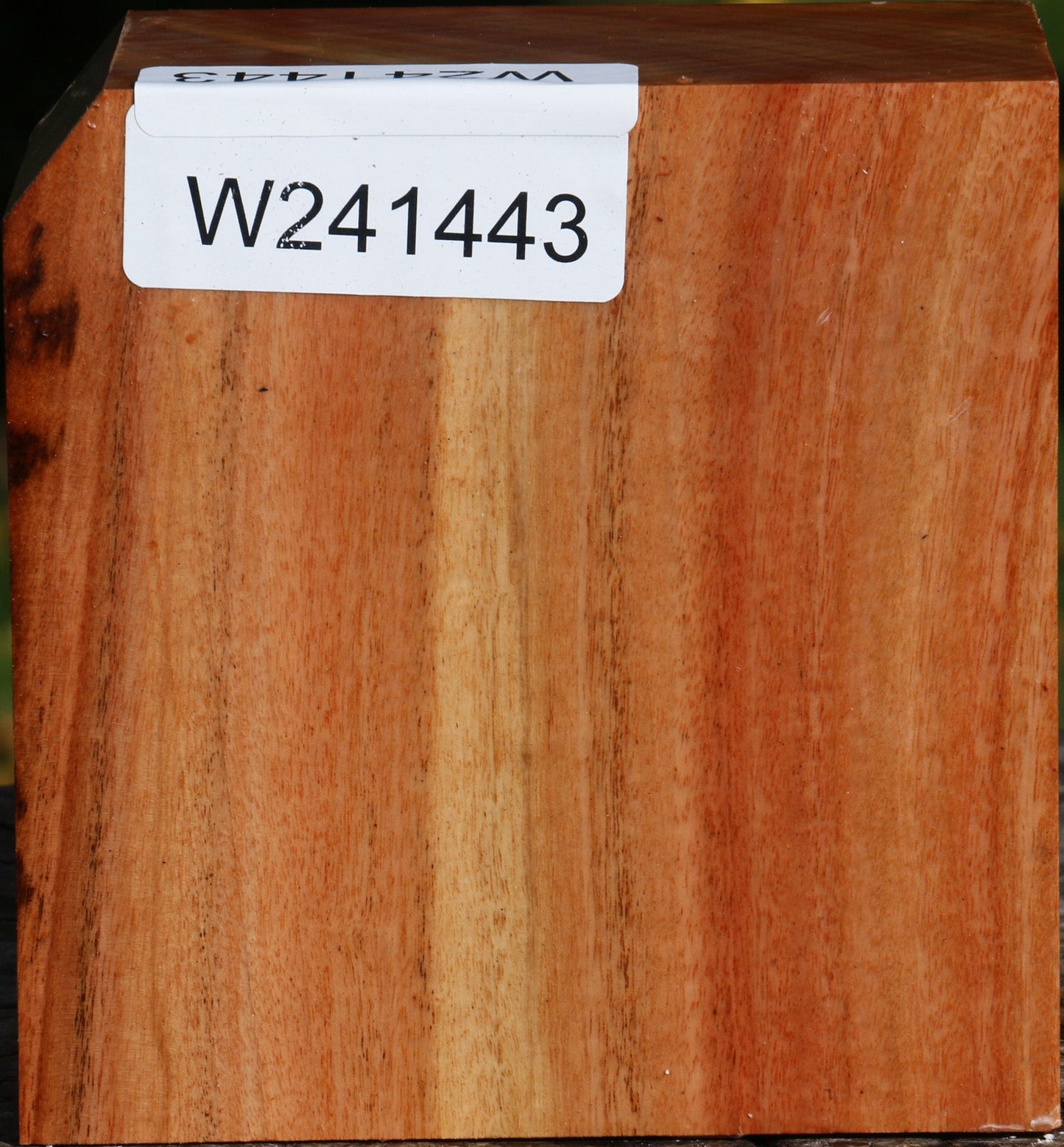 Red Ironbark Bowl Blank