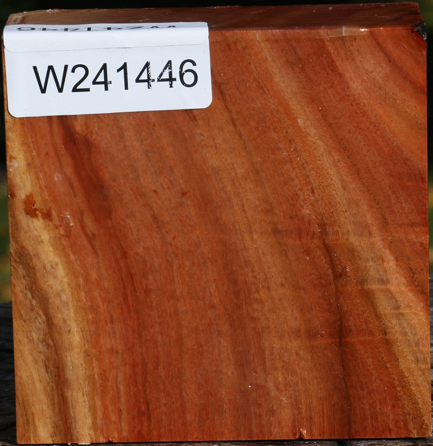 Red Ironbark Bowl Blank