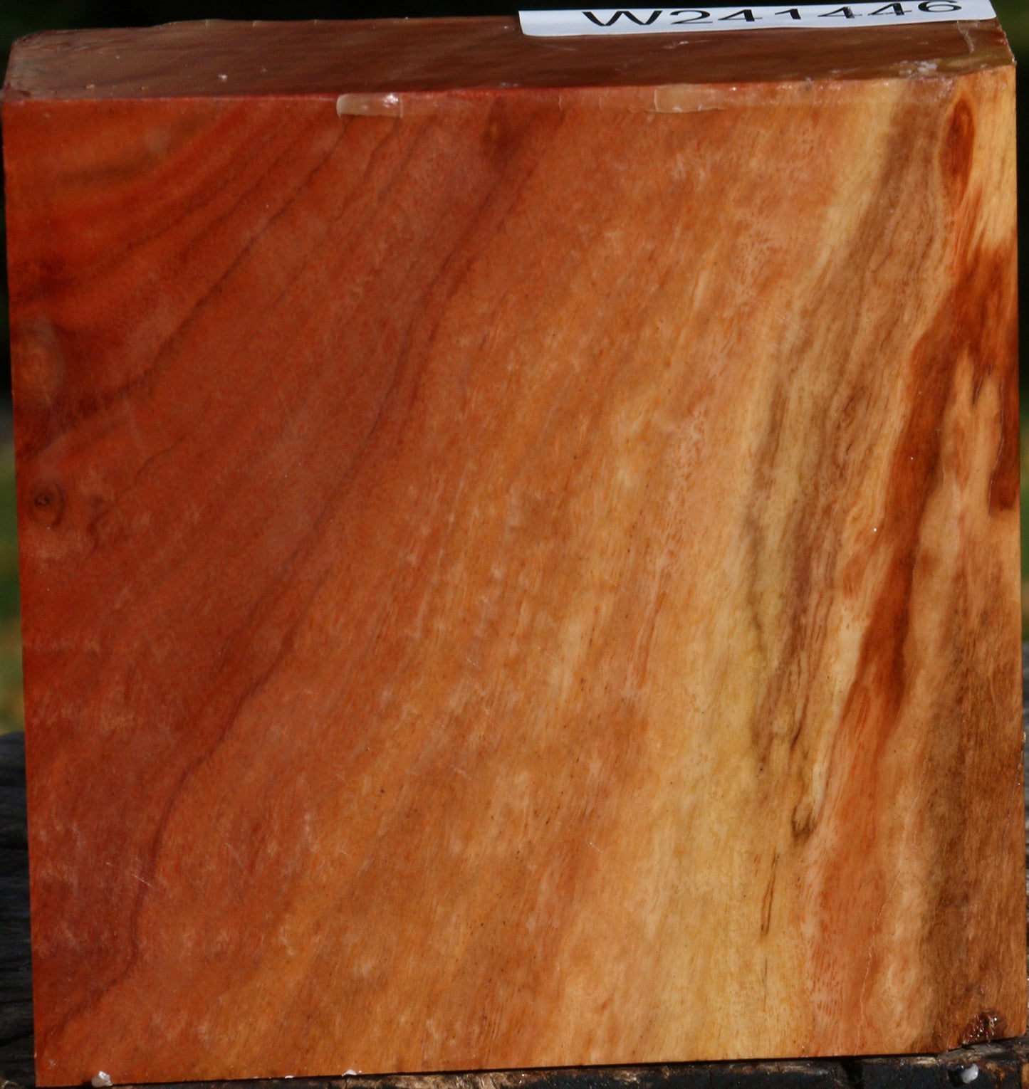 Red Ironbark Bowl Blank