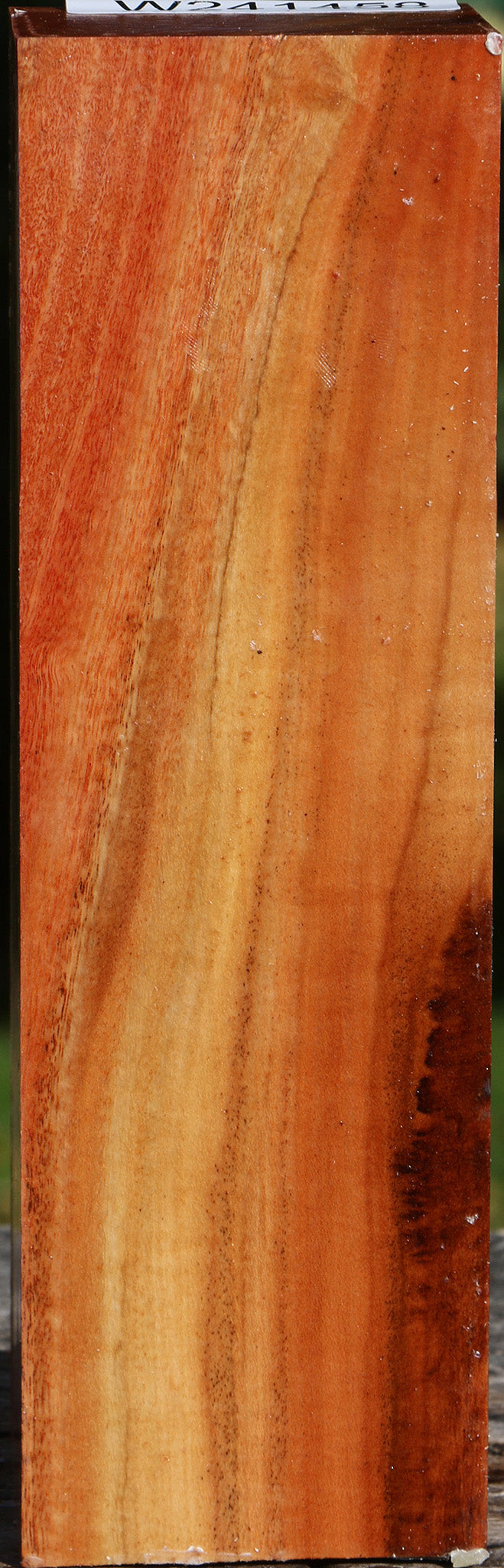 Red Ironbark Peppermill