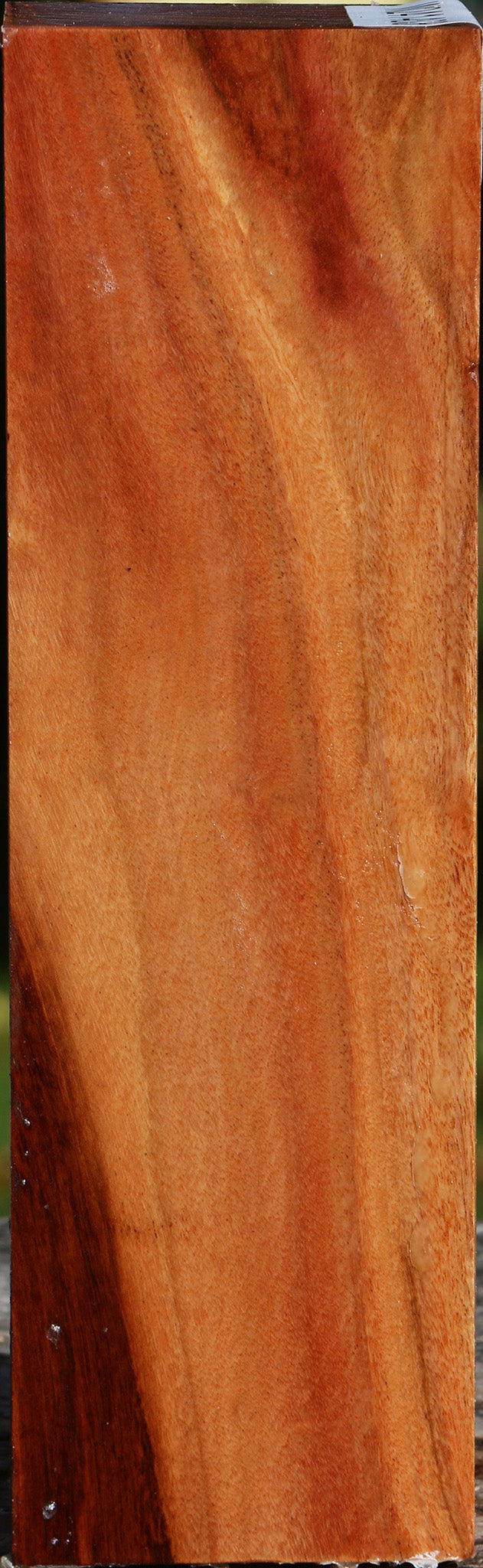 Red Ironbark Peppermill