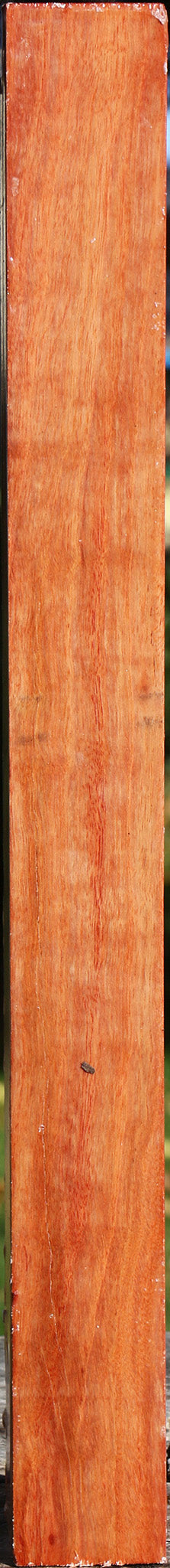 Red Ironbark Turning Square