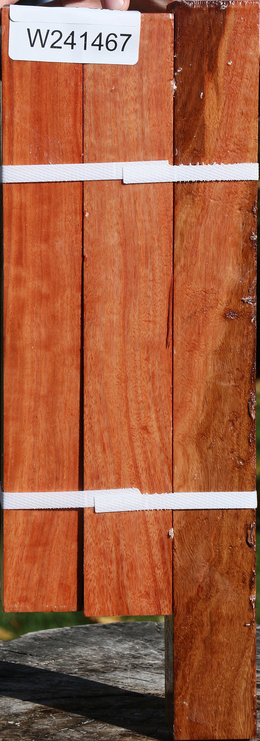 Red Ironbark Turning Square 3 Pack