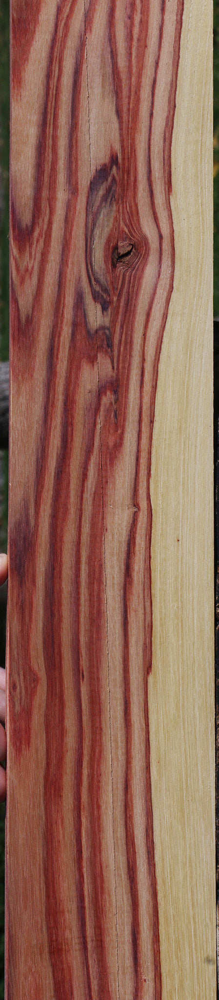 Tulipwood Micro Lumber