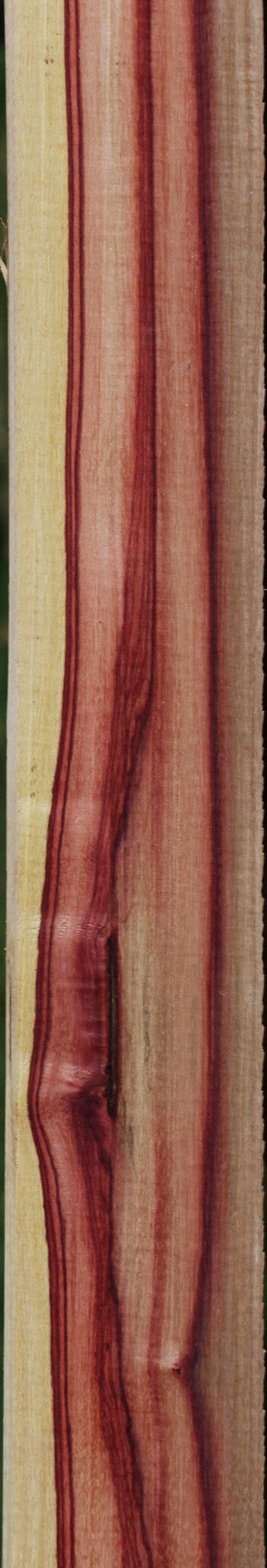 Tulipwood Lumber