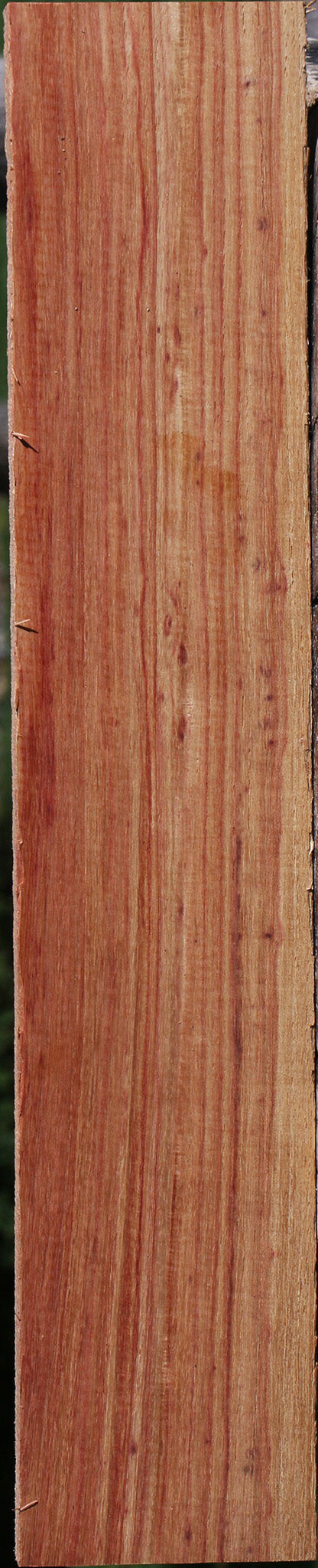 Quartersawn Tulipwood Lumber