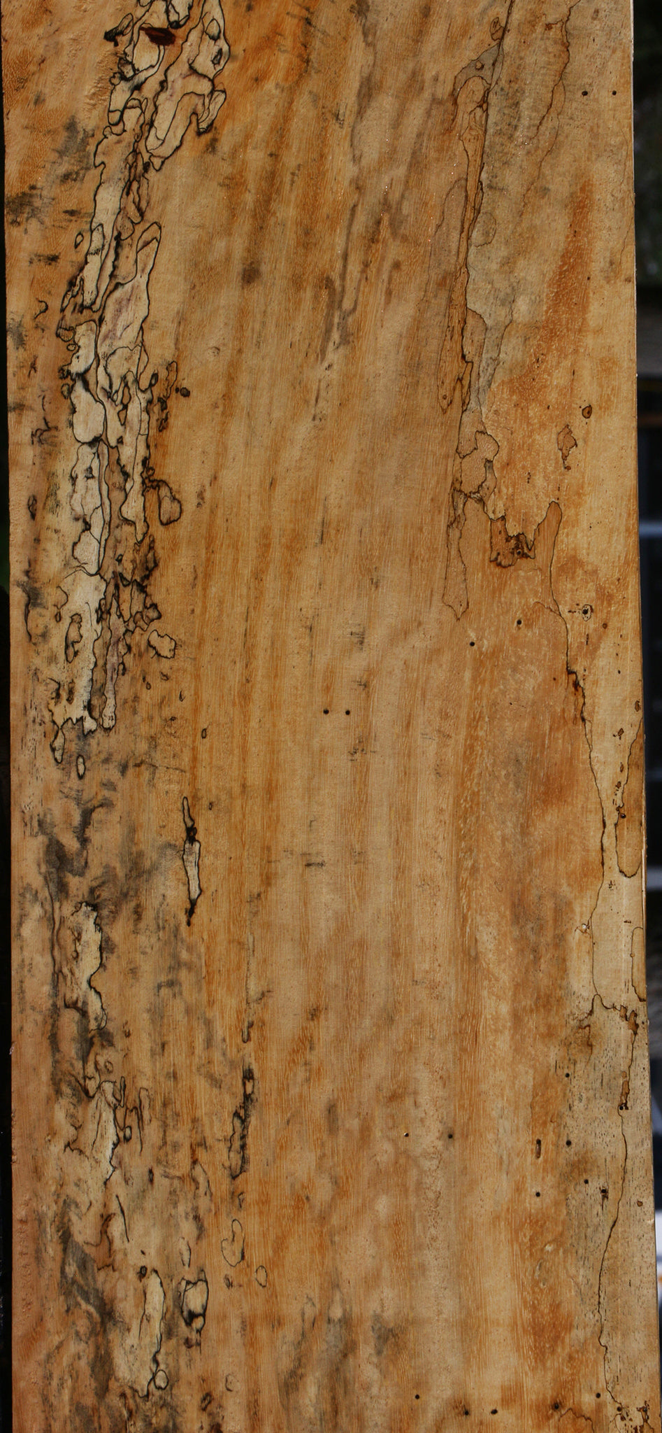 Spalted Tamarind Lumber
