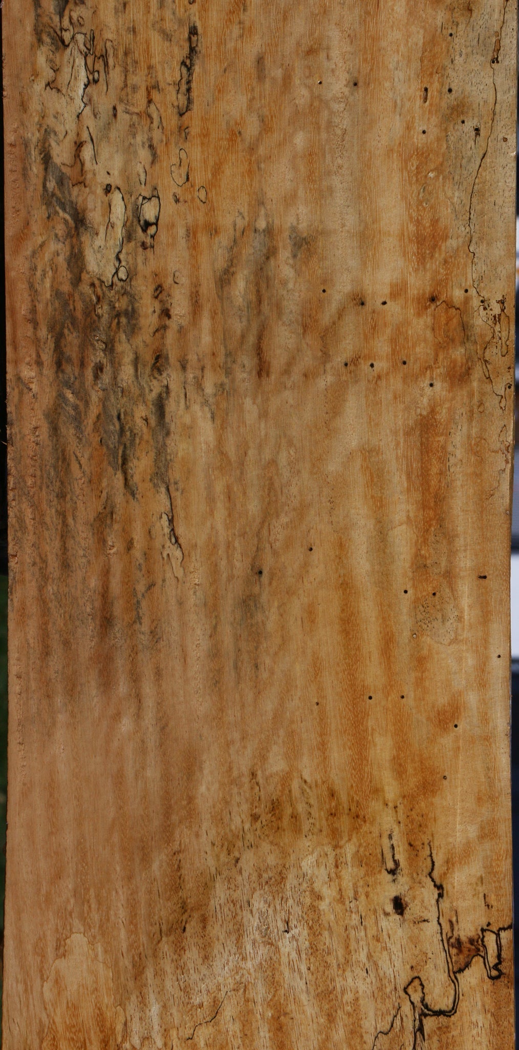 Spalted Tamarind Lumber