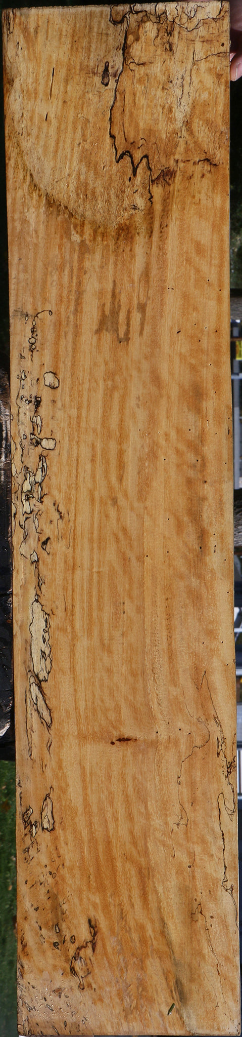 Spalted Tamarind Lumber