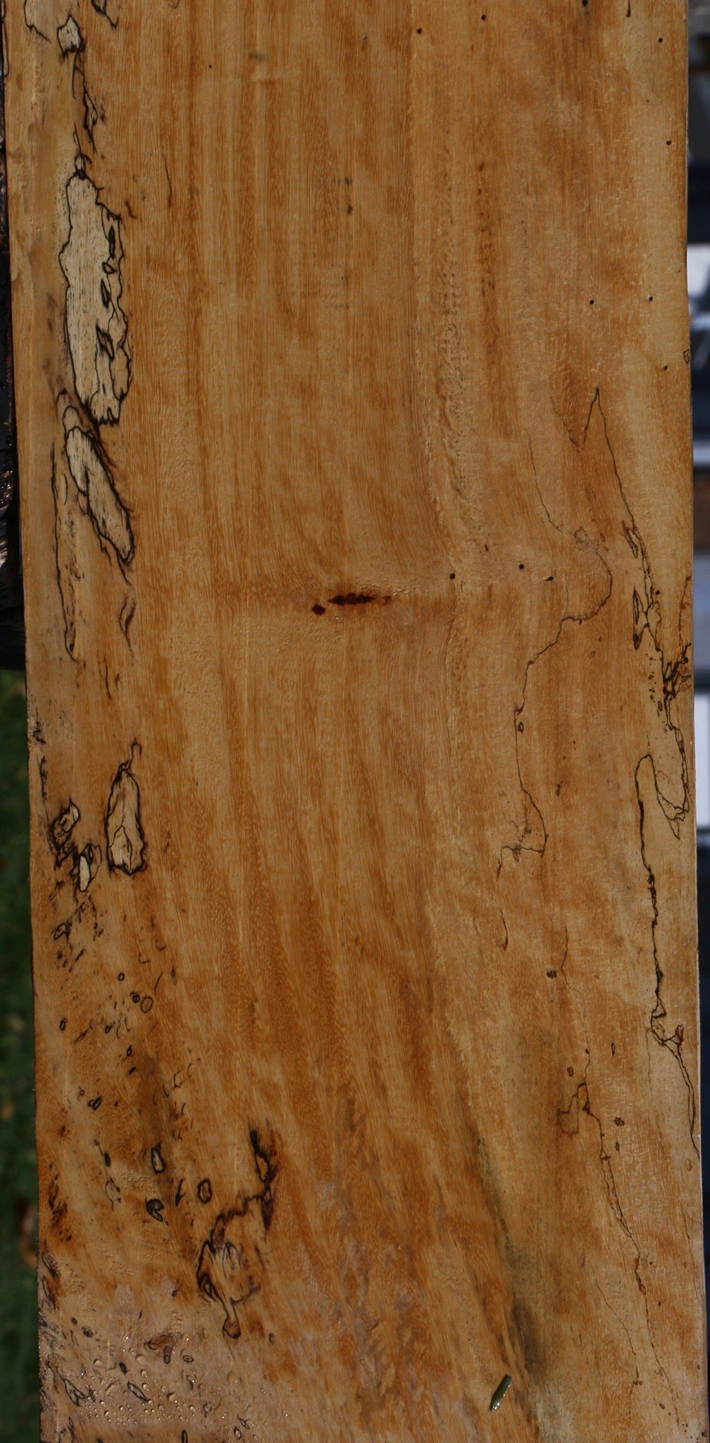 Spalted Tamarind Lumber