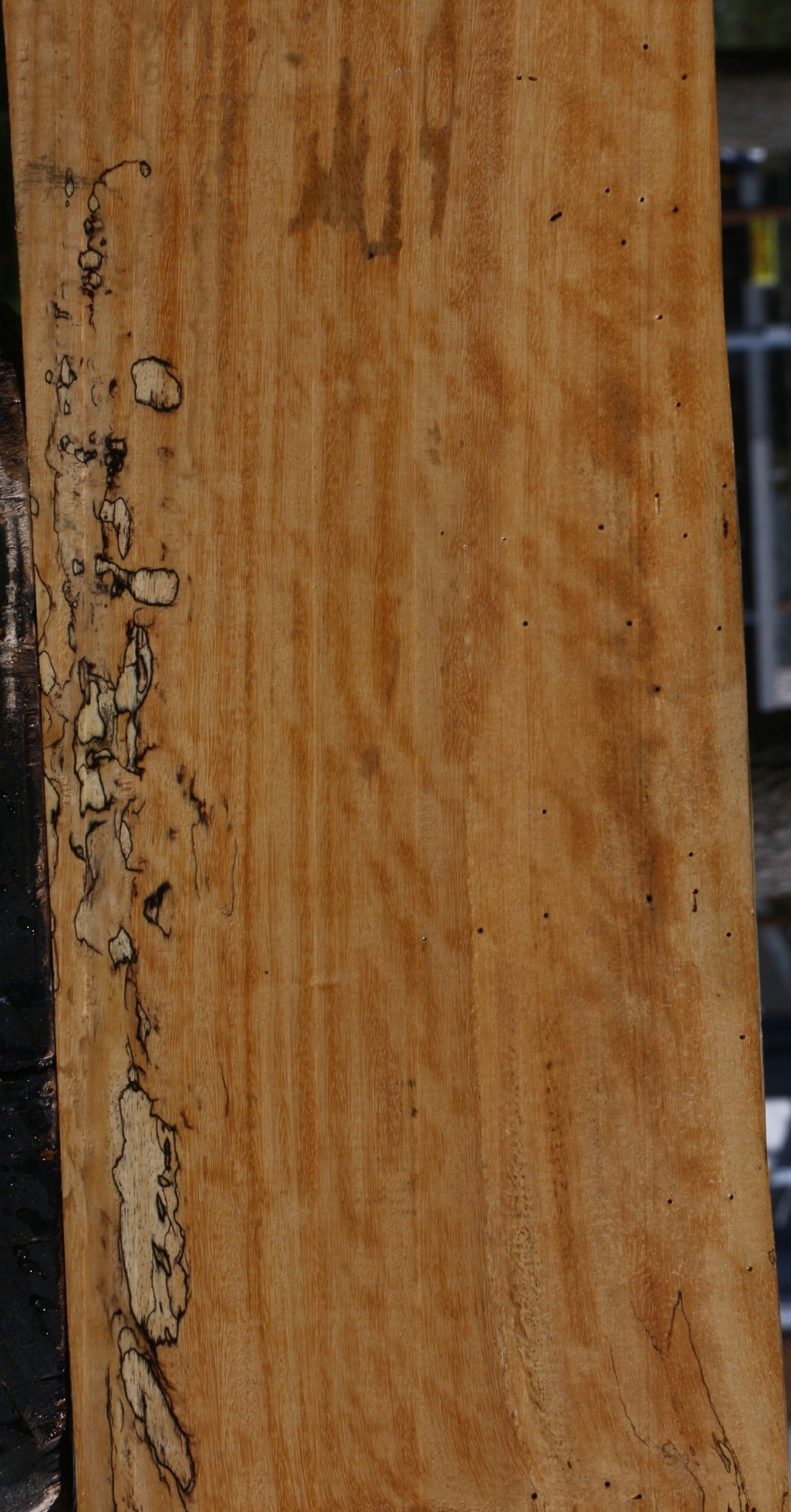 Spalted Tamarind Lumber