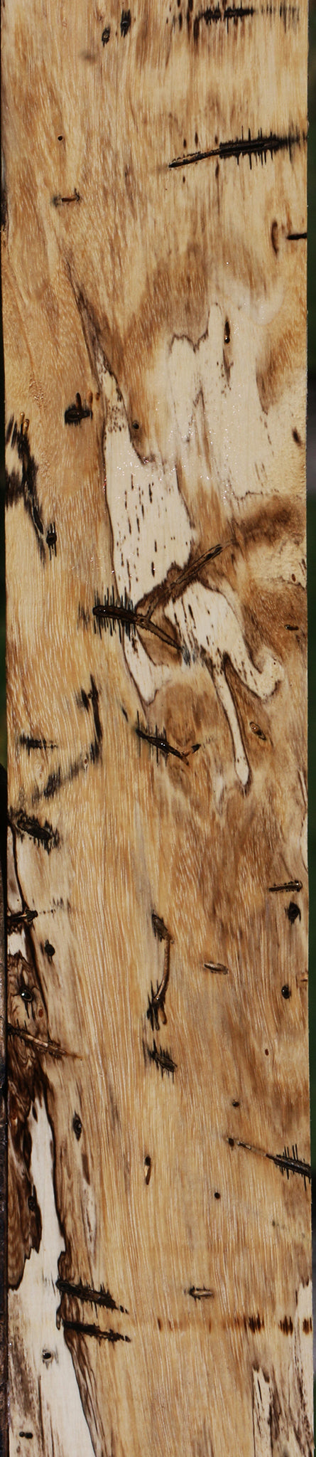 Figured Spalted Tamarind Lumber