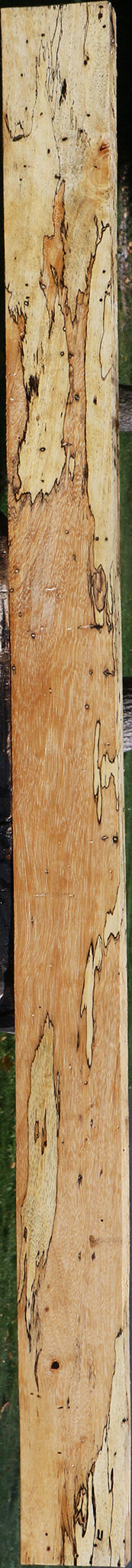 Extra Fancy Spalted Tamarind Lumber
