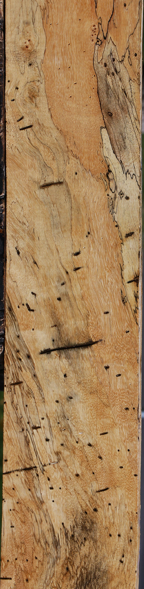 Figured Spalted Tamarind Lumber