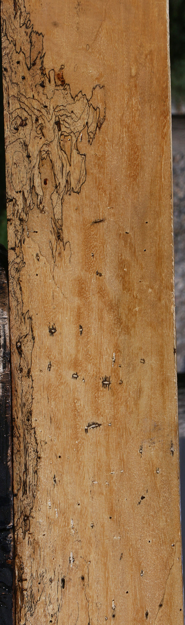 Extra Fancy Spalted Tamarind Lumber