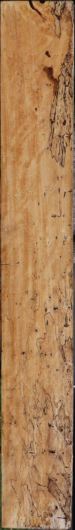 Extra Fancy Spalted Tamarind Lumber